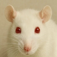 Albaino Rat