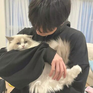 洛圣都悍匪王京