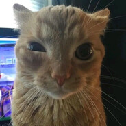 papo's avatar