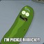 I&#039;m Pickle Rick!!!