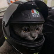 66666666666666666666666