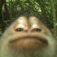 RoobyRacks