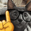 Gato Polar