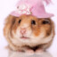 Hamster Kombat