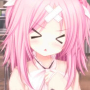 猫门第一仙尊小猫