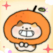 小北是世界上最萌的猫