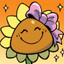Sunflower Oil