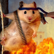 ⨥ķÕфĚёҸӗԞ⨥