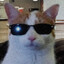 Mr_Shadowcompany