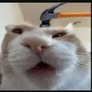 xazetti