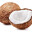 coconut