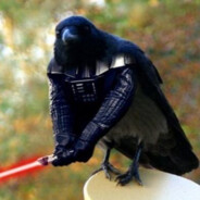 Crow Vader