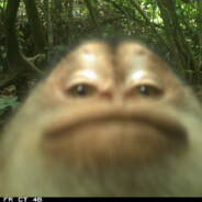 Философский Зомб avatar