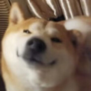 我要成为瓦罗兰特大王