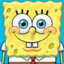 sponge bawb