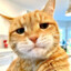 RunicCat