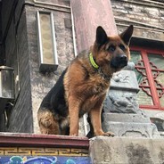 练习时长两年半的🈲🈲晋中棋王