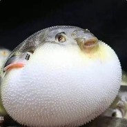 官沙田河鱼饭店