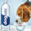 Dogwater