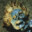 Bogbody