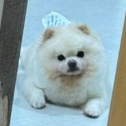 𝗦𝗣𝗢ᵀᴵᴺʸ®