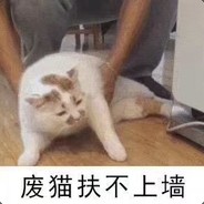 废喵扶不上墙