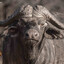 BIG BUFFALO GUY