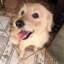 El Tayson
