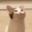 KZNoob