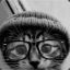 hipster kitty