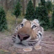 sexyt1ger - steam id 76561198342337596