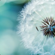 Mr. Ziggy Piggy | Gamdom.com