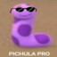 pichula pro