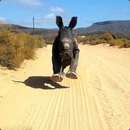 我们成功了小石头