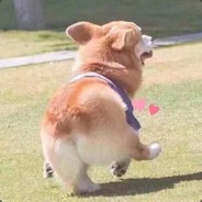 你可以求求我吗