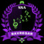Bavregar