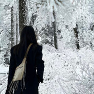 陪小怡许个愿丶