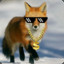 Dr. Swag Fox