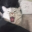 Musya