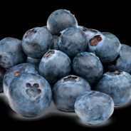 Brigad General Bobo Blåbär