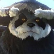 Balu_bear