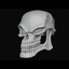 The Evil Skeleton