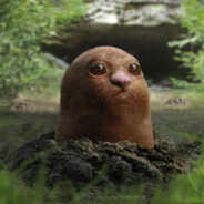 diglett