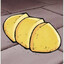 Thief bug egg