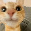 Lemon Low_ray
