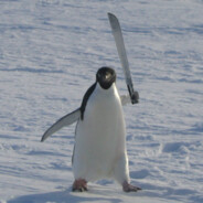 Pingu Enfurecido