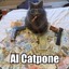 ALcatPone-