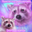 dangerous_witness
