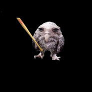 ッbata pasare pasare bataッ