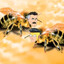 We can finally be bees